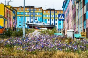 Тамбов, Мурманск, Раменское и да, Анадырь...