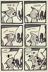 Какие бывают КУСЬ 