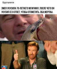 Скрины из социальных сетей