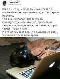 Смешные картинки с надписью