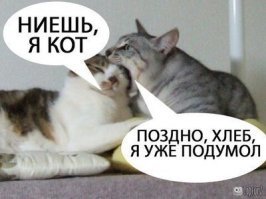 мэмный кусь