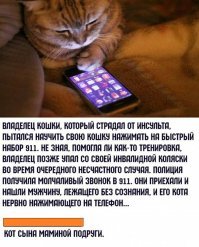 Картинки с надписями