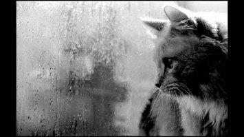 а у нас одна бабулька носок для миллиона купила. да под кровать и положила. а соседка с чего то туда полезла ивидит  бесполезный  носок, без пары, и  домой унесла. теперь вот за  непарный носок  срок получит.нет в мире справедливости