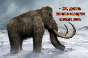 То есть вся фигня из-за бивней мамонта. 150 кг - почти 5 000 "зелёных".