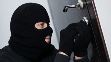 Прикольные и смешные картинки