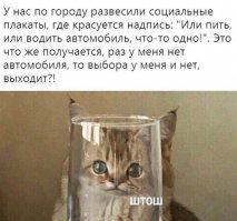 Алкопост на вечер этой пятницы