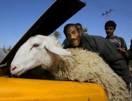 В Великобритании пилот не пришел на рейс. Вместо него за штурвал сел пассажир