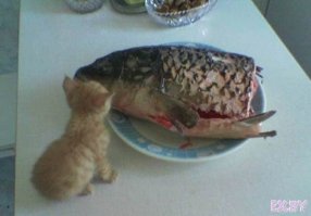 А ты не лопнешь, деточка?