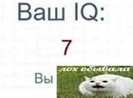 Какие бывают КУСЬ 