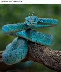 Фотоподборка