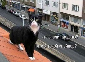 Открытки из коллекции. Часть 7