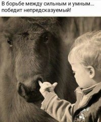 Открытки из коллекции. Часть 7