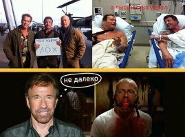 Шварценеггер и Сталлоне. История дружеского троллинга