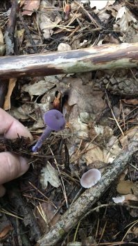 А что это такое, кто- нибудь знает?