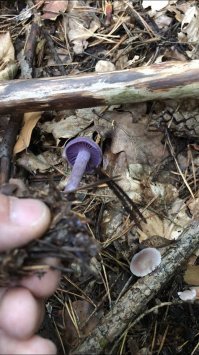 А что это такое, кто- нибудь знает?