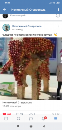 Большинство горожан возмущены. Вот такой флэшмоб организовали. Мемы во всех соцсетях. Но есть те, кто оправдывает, что людям просто яблочек захотелось.