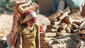 Собирать орехи, это не такой уж тяжёлый труд!