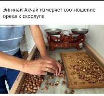 Бля, как же ты заибал, тупой дебил!

Написано же, что человек измеряют соотношение ореха к скорлупе! Берётся 1кг ореха и отделятся от скорлупы, потом отдельно взвешивается скорлупа и орех в чистом виде. Это делается для того чтобы узнать чистый вес ореха, потому-что его продауют вместе с скорлупой не расклотым!
По твоему из-за 1кг ореха нужно покупать  оборудование?