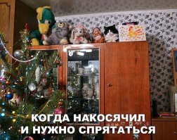 Фотошоп, настоящий кот всё бы уже сбросил.