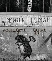 О чем говорит город