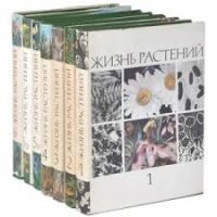 Для начала. Читается легко, много полезного.