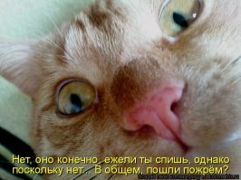 То ли смех, то ли слёзы