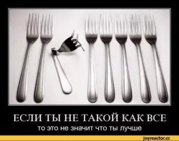 Прикольные и смешные картинки