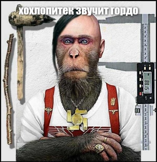 Украина: короткий путь из героя в предателя
