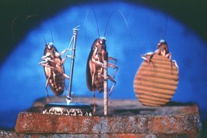 "...целое родовое гнездо..."? Напомнило: