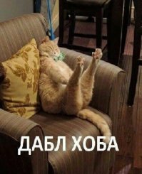 Забавные демотиваторы на любой вкус