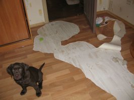 Самые распространенные ошибки в ремонте