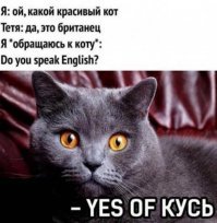 Картинки с надписями