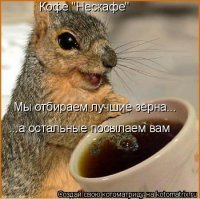 На плантациях орехов в Турции эксплуатируют детей. Часть этих орехов попадает в "Нутеллу"