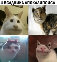 Чума, Война, Голод и Смерть... И кто из них кто? )))