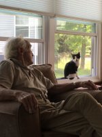 15 милых фотографий новоиспеченных хозяев с котиками, которых взяли из приюта