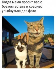 Намешал