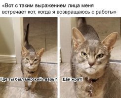 Меня жена с работы таким хлебалом встречала, слава богу уже давно в разводе.