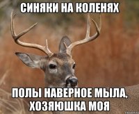 Почему появляются синяки на ногах?