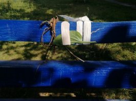 А на этой вообще похоже кто то прикололся. Иначе на фига там пластырь и лист подорожника ;)