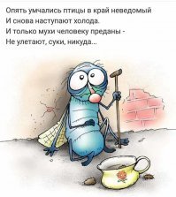 Для чего мухи потирают лапками