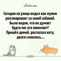 Прикольные и смешные картинки