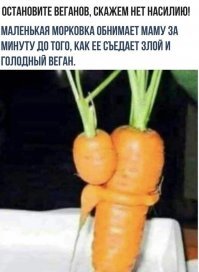 "Насилуют!": веганы заявили о недопустимости совместного содержания разнополой птицы на ферме