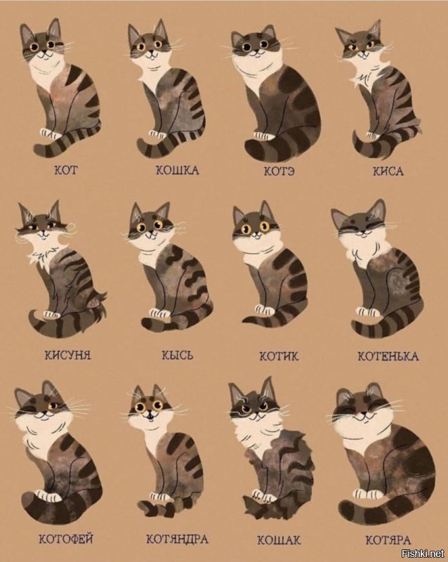 20 фактов о кошках, которые вы могли не знать