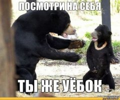 Когда медведи дерутся, волк не мешается!