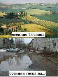 Прикольные и смешные картинки