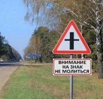 Прикольные и смешные картинки