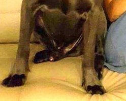 Так будет немножко понятнее