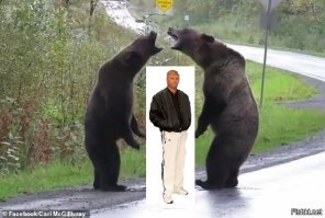 Когда медведи дерутся, волк не мешается!