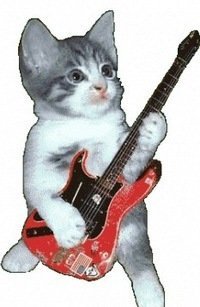 А у нас сегодня кошка,
Родила вчера котят. 
Котята выросли немножко, 
И репчик слушать не хотят! 

Молодцы котята! :)