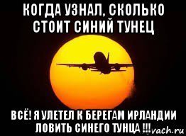 Рыбаки поймали гигантского тунца, который может стоить миллионы и выпустили его обратно в океан